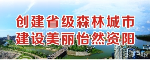 狠狠肏逼网址创建省级森林城市 建设美丽怡然资阳